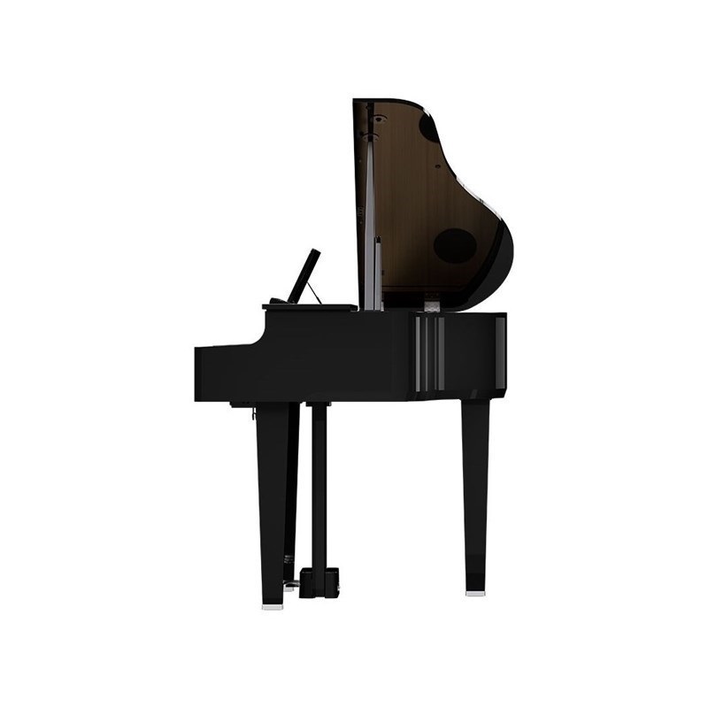 Roland 【12月下旬以降据付予定】GP-6-PES【数量限定豪華3大特典付き