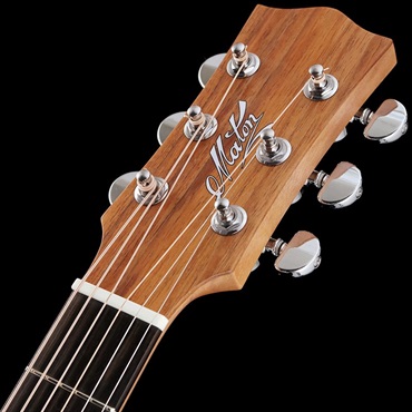 MATON SRS808C ｜イケベ楽器店オンラインストア