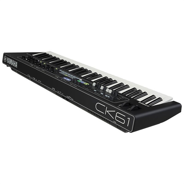 卸売り YAMAHA CK61 ステージキーボード | kinselcpa.com