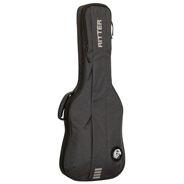 Ritter RGB4-E ANT Electric Guitar [エレキギター用] 画像1