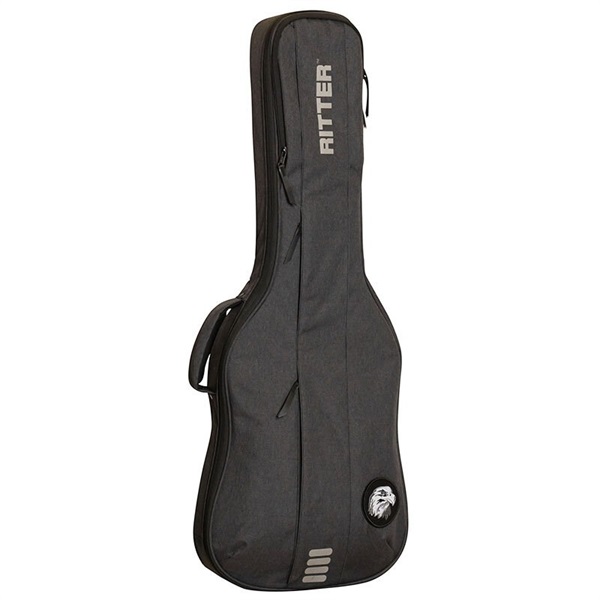 Ritter RGB4-E ANT Electric Guitar [エレキギター用] 画像1