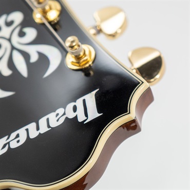 Ibanez AS93FM-VLS 画像9