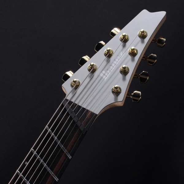 Ibanez Axe Design Lab RGDMS8-CSM 画像4