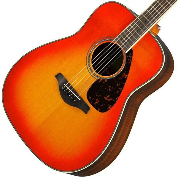 YAMAHA 【お得なアクセサリー10点セット付き！】FG830 (Autumn Burst) ヤマハ 画像3