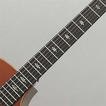 TAYLOR 714c WSB V-Class w/R-Zero Contact Pro BACNT × DiMarzio DP234 ～Full Tuned By Enfini Custom Works～ テイラー 画像6