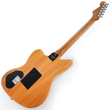 Fender Acoustics FSR American Acoustasonic Jazzmaster (Black Paisley/Ebony Fingerboard)【特価】 画像2