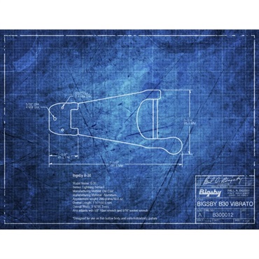 Bigsby 【新楽器応援セール】 B30G 画像1