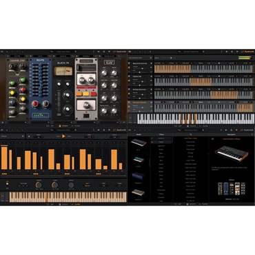 IK Multimedia Syntronik 2 Max v2 Upgrade【アップグレード版】(代引不可)(オンライン納品) 画像1