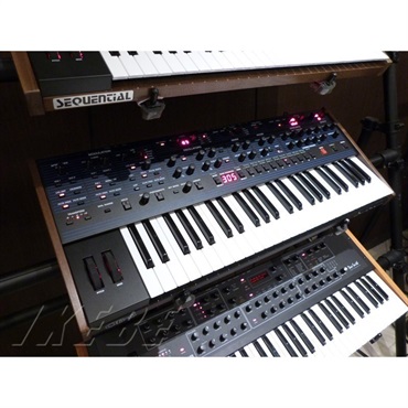 SEQUENTIAL OB-6※配送事項要ご確認 画像6