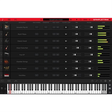 IK Multimedia SampleTank 4 Upgrade【アップグレード版】(代引不可)(オンライン納品) 画像5