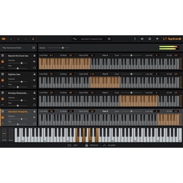 IK Multimedia AmpliTube 5 Upgrade【アップグレード版】(代引不可)(オンライン納品) 画像2