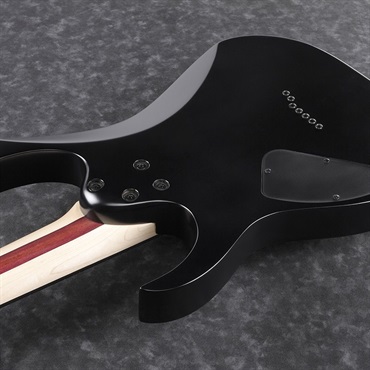 Ibanez Iron Label RGIXL7-BKF ｜イケベ楽器店オンラインストア