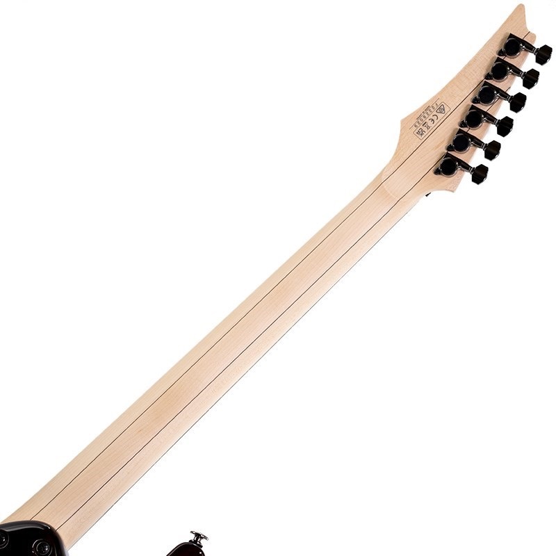 Ibanez KIKO100-TRR [KIKO LOUREIRO signature model] ｜イケベ