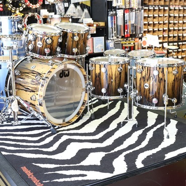 dw Collector's Pure Maple 5pc Drum Kit [BD22，FT16&14，TT12&10 / Exotic (Ivory Ebony)] 画像5