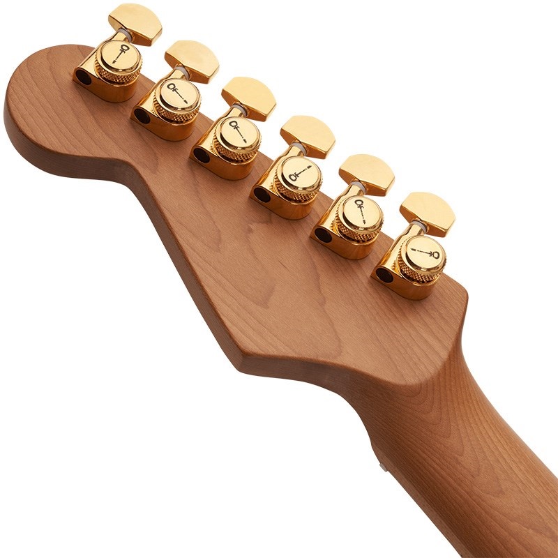 Charvel Pro-Mod DK24 HSH 2PT CM Mahogany (Natural) 画像5