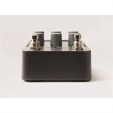 Universal Audio UAFX Galaxy '74 Tape Echo & Reverb 画像2