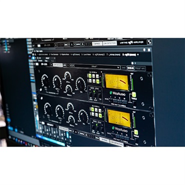 WesAudio ng76 Stereo Matched Pair【予約商品・納期別途ご案案内】 画像4