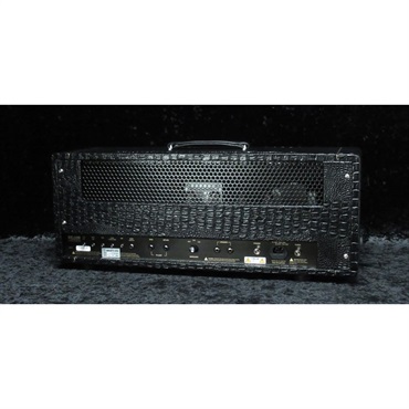 FRIEDMAN BE-100 Deluxe [Croco Tolex]（フリードマン） 画像1
