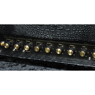 FRIEDMAN BE-100 Deluxe [Croco Tolex]（フリードマン） 画像2