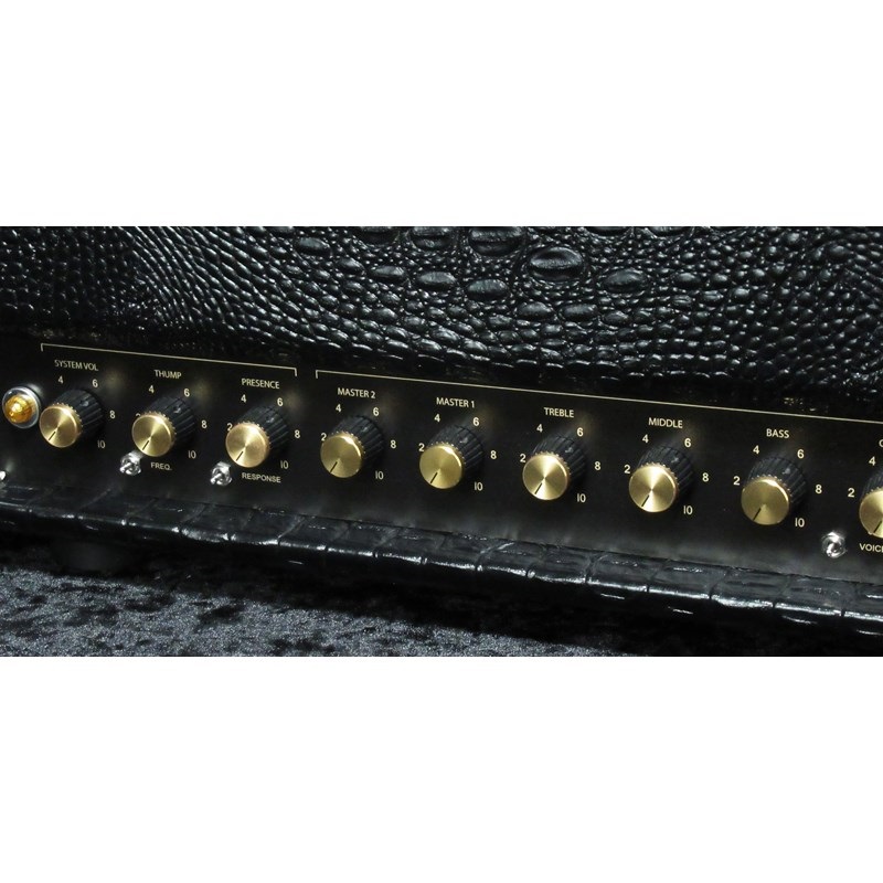 FRIEDMAN BE-100 Deluxe [Croco Tolex]（フリードマン） 画像2