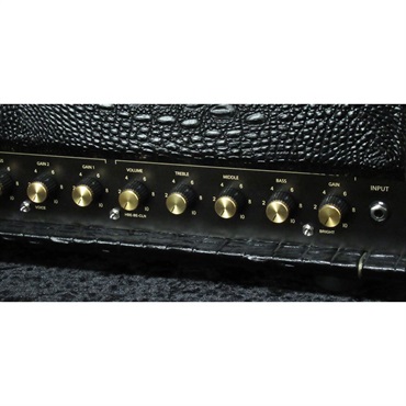 FRIEDMAN BE-100 Deluxe [Croco Tolex]（フリードマン） 画像3