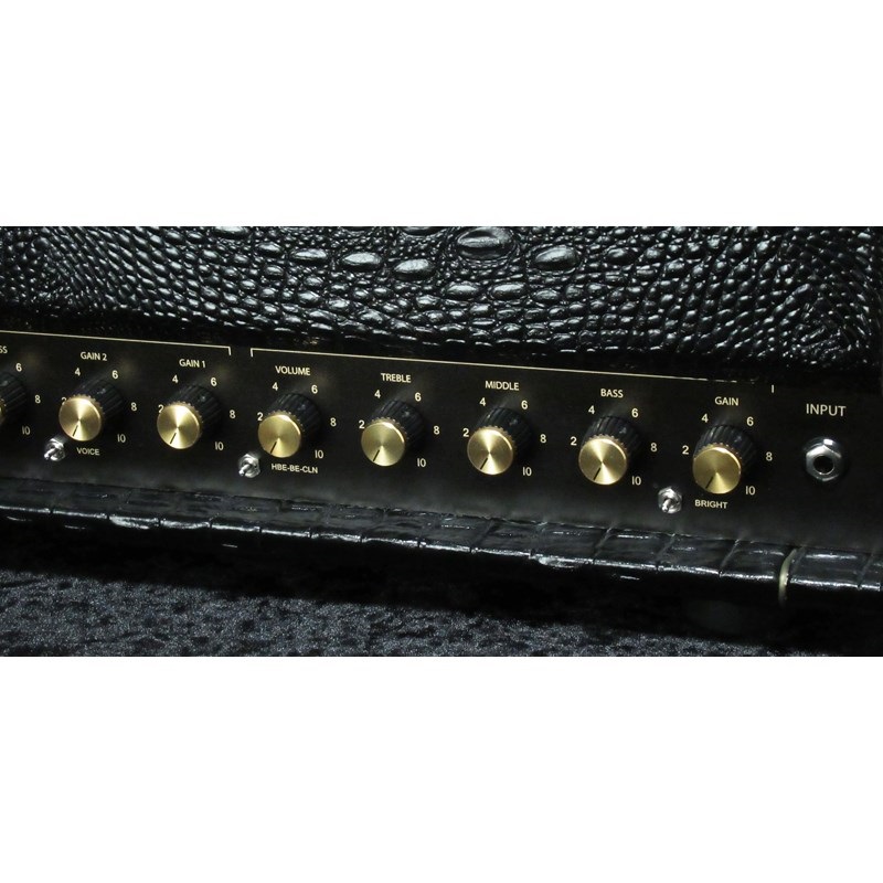 FRIEDMAN BE-100 Deluxe [Croco Tolex]（フリードマン） 画像3