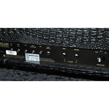 FRIEDMAN BE-100 Deluxe [Croco Tolex]（フリードマン） 画像4