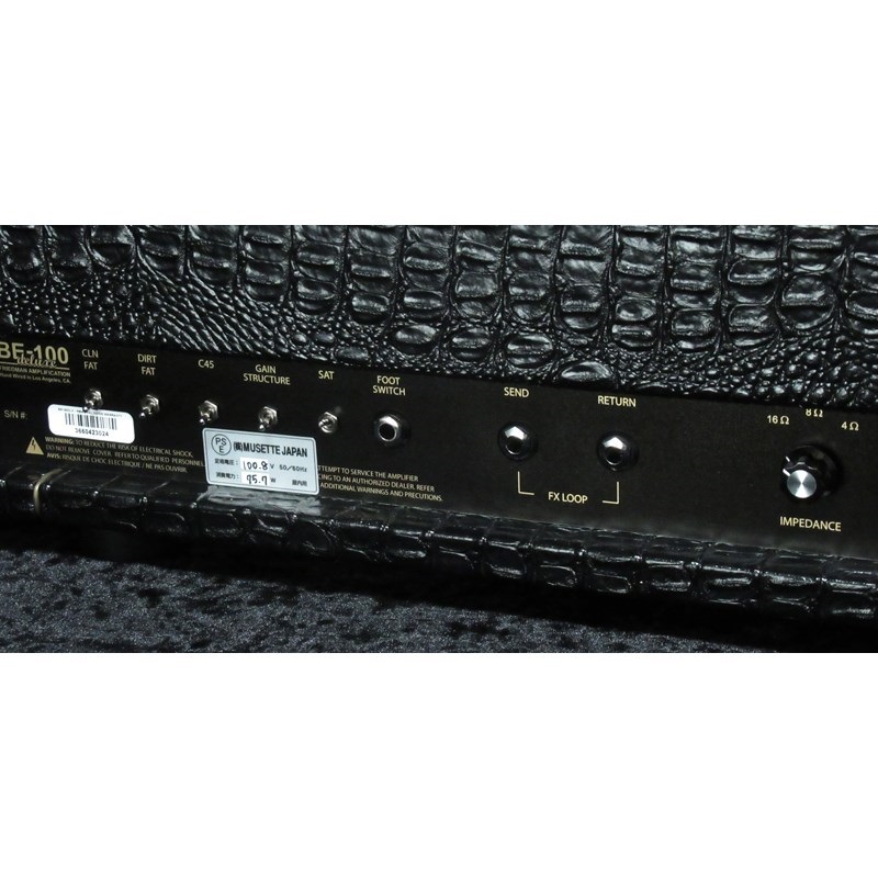 FRIEDMAN BE-100 Deluxe [Croco Tolex]（フリードマン） 画像4