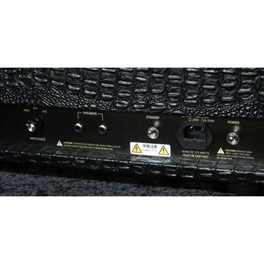 FRIEDMAN BE-100 Deluxe [Croco Tolex]（フリードマン） 画像5