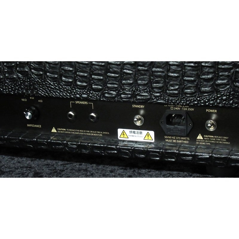 FRIEDMAN BE-100 Deluxe [Croco Tolex]（フリードマン） 画像5