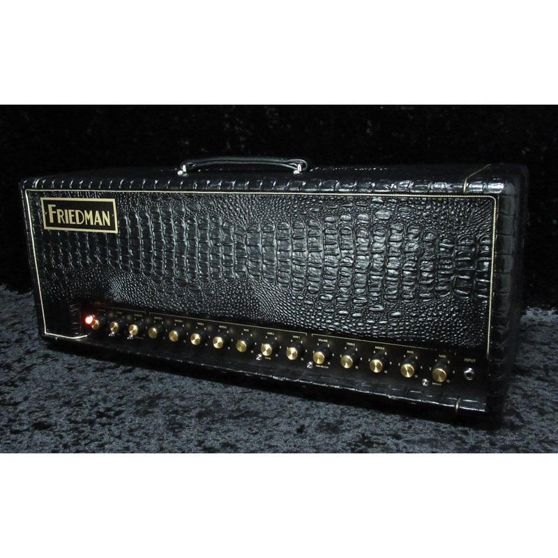 FRIEDMAN BE-100 Deluxe [Croco Tolex]（フリードマン） 画像7