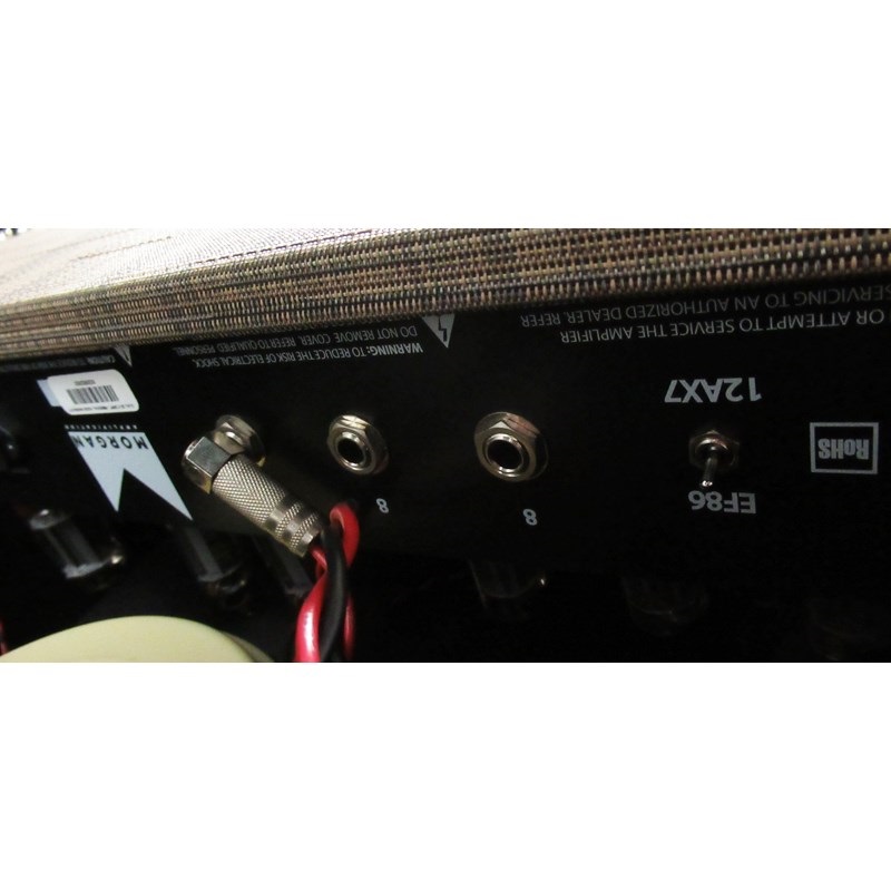 Morgan Amplification DUAL 20 Combo Driftwood 画像6