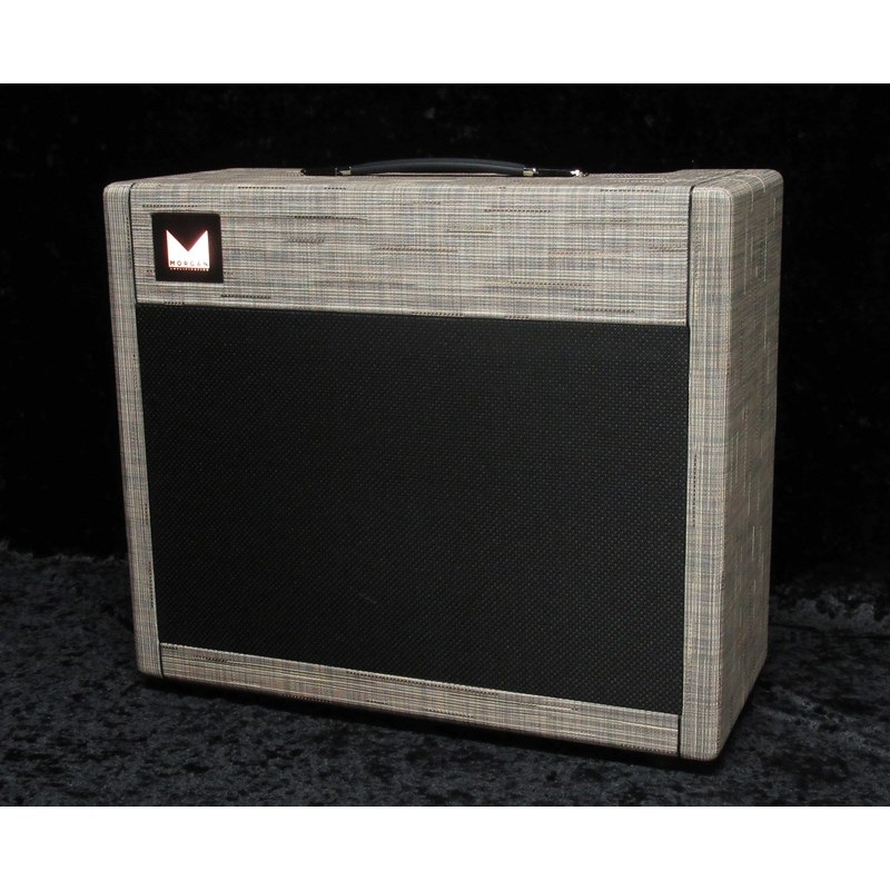 Morgan Amplification DUAL 20 Combo Driftwood 画像7