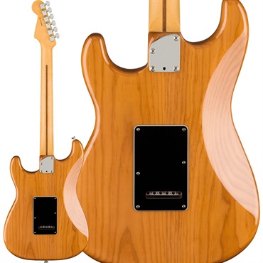 Fender USA American Professional II Stratocaster HSS (Roasted Pine /Maple) 【B級特価】 画像1