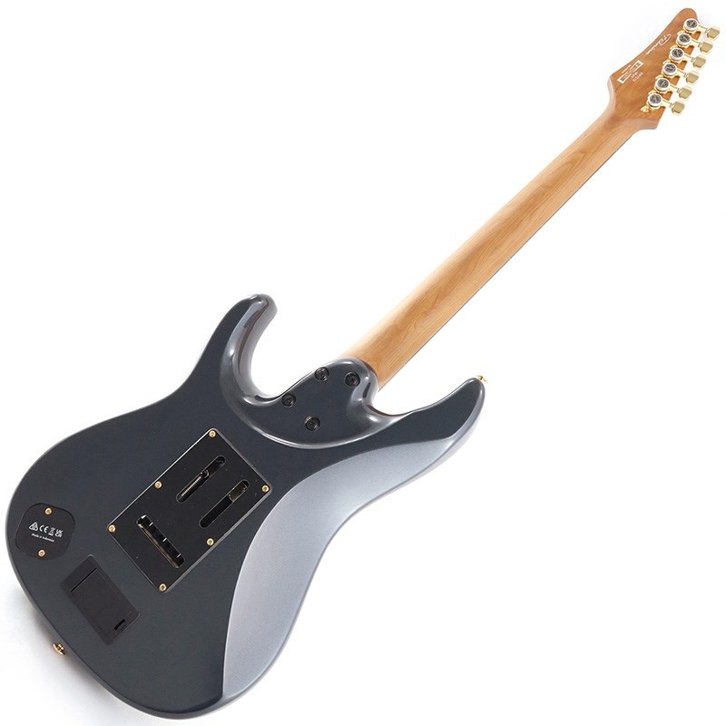 Ibanez KRYS10 [Scott LePage Signature Model] 画像2