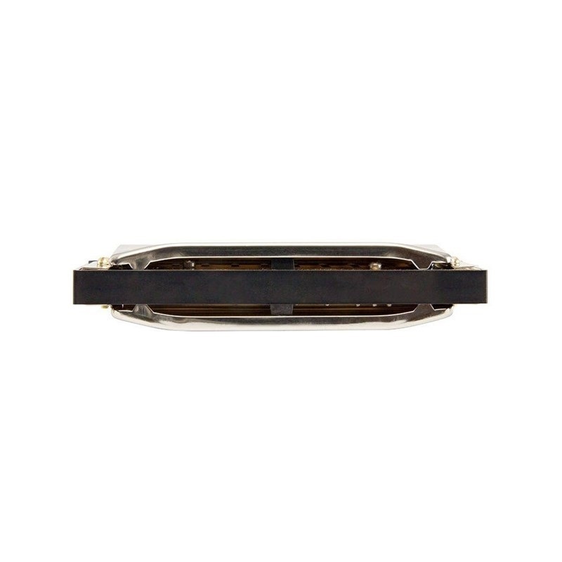 Hohner Progressive Special 20 560/20　(キー：C) 画像2