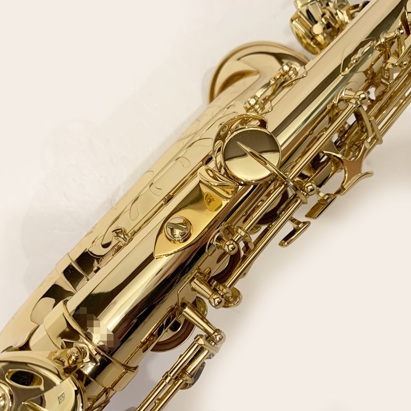 Selmer Paris USED 中古 セルマー アルトサックス SERIE III Jubilee GL S/N:805xx1 彦坂眞一郎氏選定品 【調整&セットアップ後出荷】【5年間キーバランス調整無料】 画像8