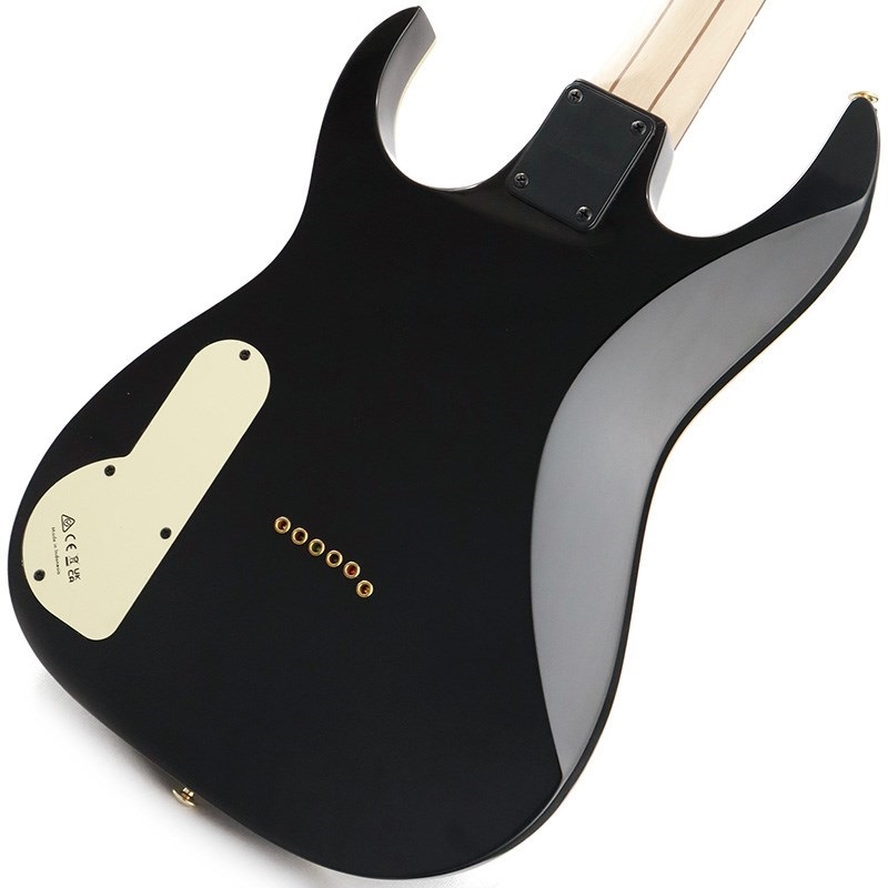 Ibanez PGM50-BK [Paul Gilbert Signature Model] 画像5