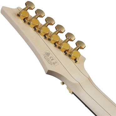 Ibanez Prestige Axe Design Lab RGA622XH-BK ｜イケベ楽器店