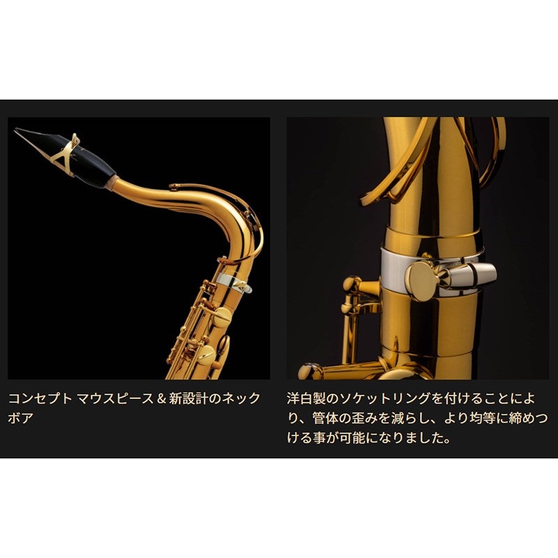Selmer Paris テナーサックス セルマー Supreme シュプレーム DGL(ダークゴールドラッカー) 【調整&セットアップ後出荷】【5年間キーバランス調整無料】 画像2