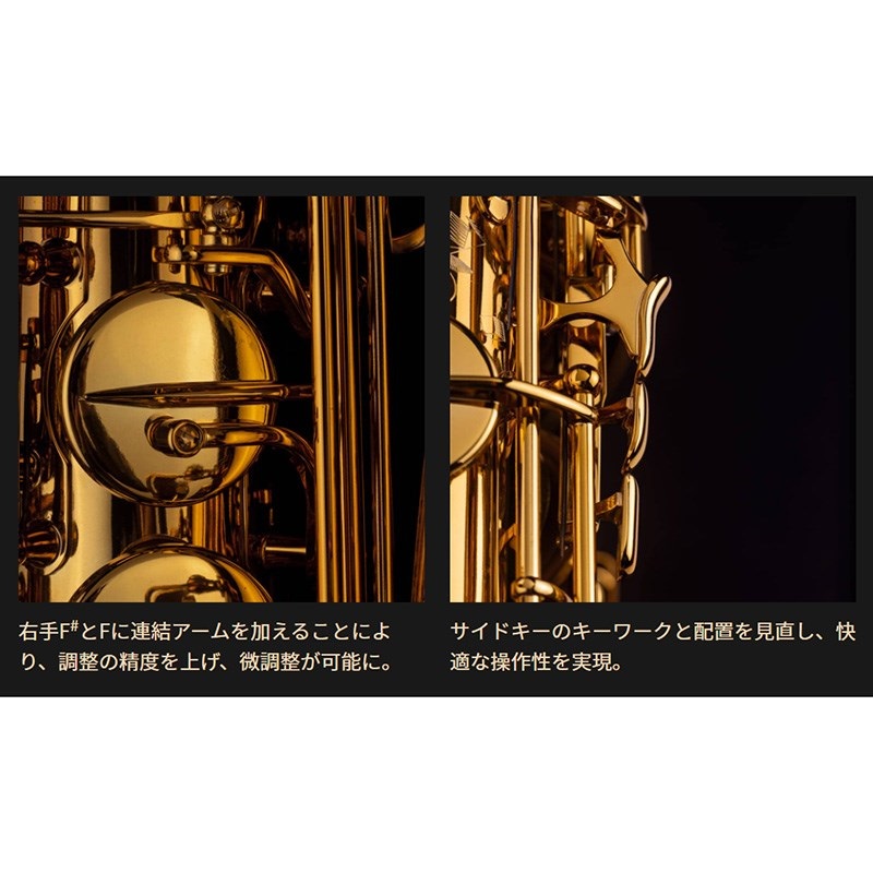 Selmer Paris テナーサックス セルマー Supreme シュプレーム DGL(ダークゴールドラッカー) 【調整&セットアップ後出荷】【5年間キーバランス調整無料】 画像5