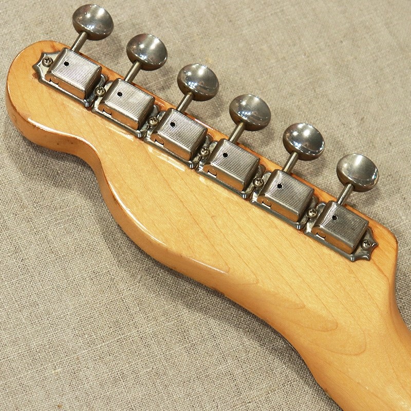 Fender USA Telecaster Thinline '70 Mahogany/M |イケベ楽器店