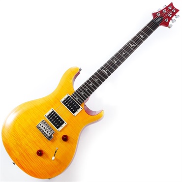 P.R.S. SE Custom 24 (Vintage Yellow) 画像1