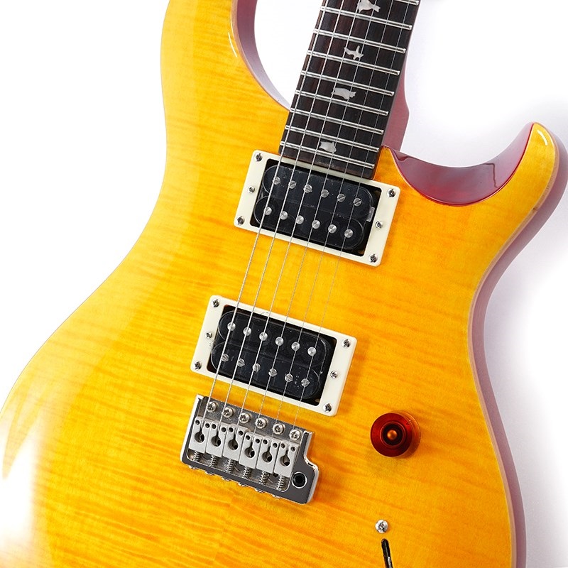 P.R.S. SE CUSTOM 24 (Vintage Yellow) ｜イケベ楽器店