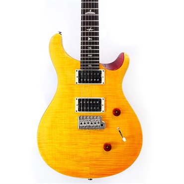 P.R.S. SE Custom 24 (Vintage Yellow) 画像9