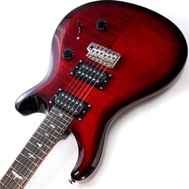 PRS SE-EG（ジャンク品）を購入 | 開き直りの一期一会 ksgsntmの