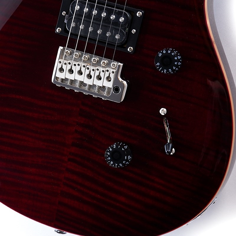 P.R.S. SE Custom 24 (Black Cherry) ｜イケベ楽器店オンラインストア