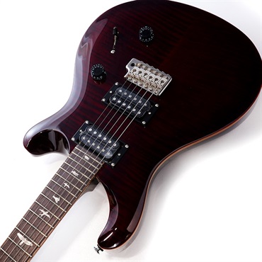 P.R.S. SE Custom 24 (Black Cherry) ｜イケベ楽器店オンラインストア