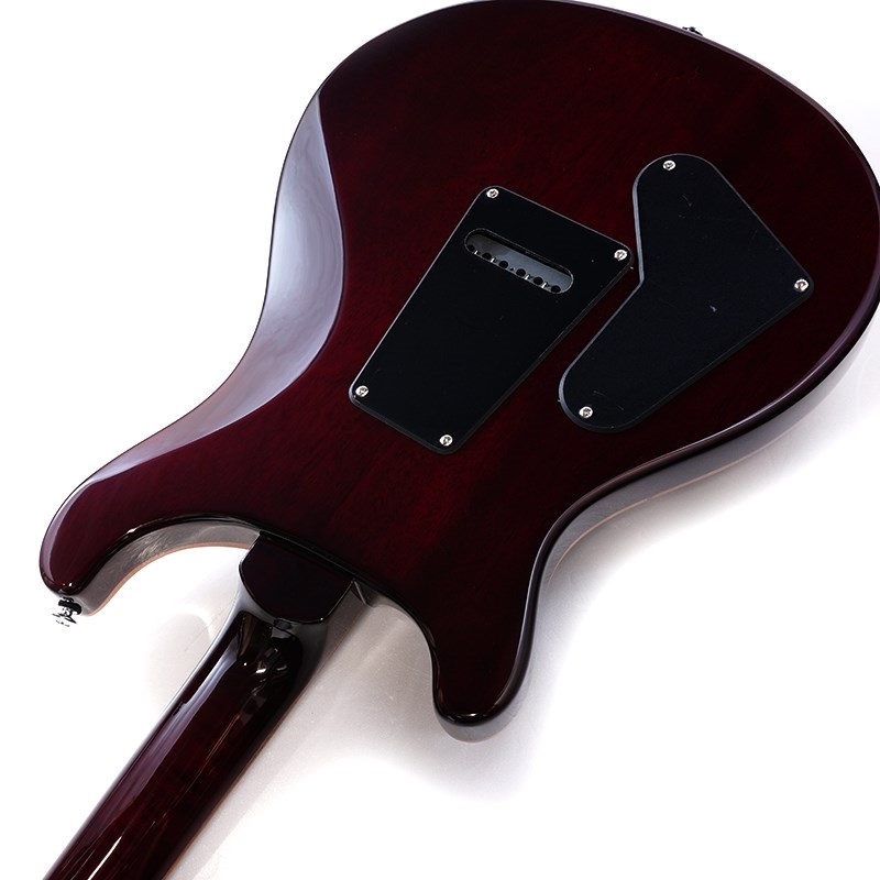 ギター PRS SE CUSTOM 24  Black Cherry Limited P.R.S. SE Custom 24 (Black Cherry) ｜イケベ楽器店オンライン