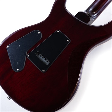 P.R.S. SE Custom 24 (Black Cherry) ｜イケベ楽器店オンライン